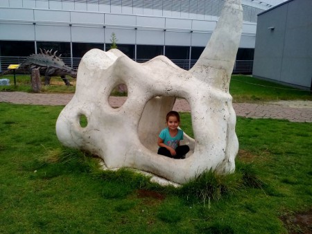 dinopark-jitka-hlavackova